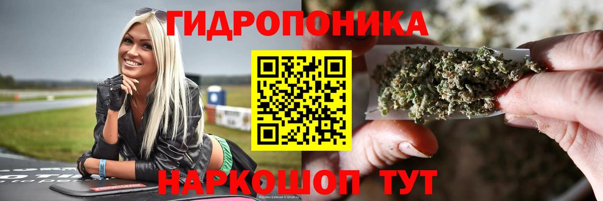 Каннабис MAZAR  Вход с VPN  Бошки Шишки OG Kush  Каннабис семена  Сарапул 